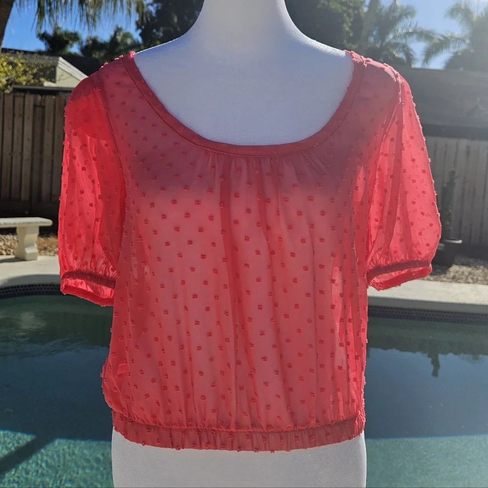NEW Socialite Pink Sheer Blouse Size XS Feminine Romantic Cocquette Girl Summer - Picture 3 of 12